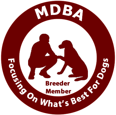 MDBA Logo Breeder No 20392
