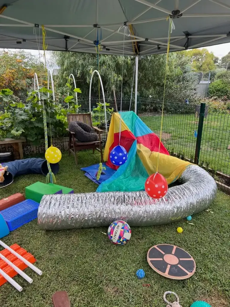 Puppy Playground: Navigating the Novice Obstacle Course