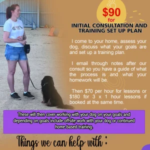 Get started with a personalized dog training consultation for $90. I assess your dog, discuss your goals, and create a customized training plan. Follow-up lessons available at $70 per hour or $180 for 3 sessions. Improve obedience, leash walking, reduce reactivity, and more, all tailored to your dog's needs.
